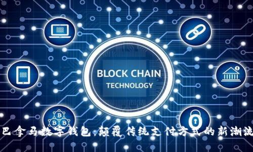 巴拿马数字钱包：颠覆传统支付方式的新潮流