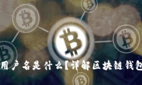 区块链钱包的用户名是什么？详解区块链钱包及其使用方法