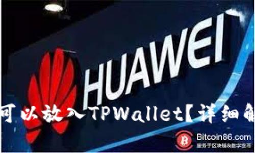 瑞波币是不是可以放入TPWallet？详细解析与使用指南