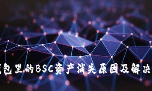 TP钱包里的BSC资产消失原因及解决方法